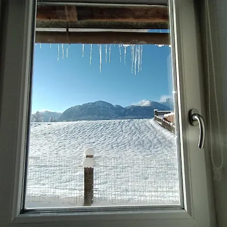 Apartment Alpina